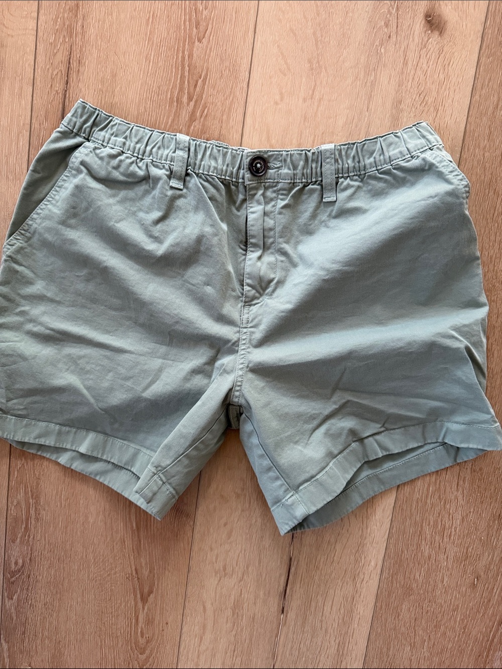 Men's Chubbies Original Shorts Flat Front Light Sage Green Shorts 5.5”